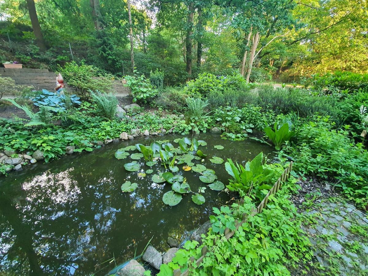 Apartment Bei Hamburg Bis 10 Personen Mit Terasse Und Gartennutzung. Буххольц-ин-дер-Нордхайде Экстерьер фото